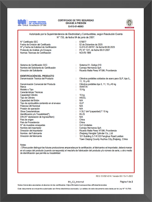 CESMEC CERTIFICATE FOR CHILE